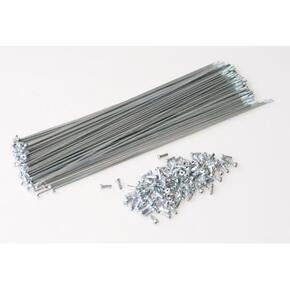 Nunc congue dui nec...