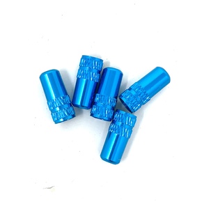 Nunc congue dui nec...